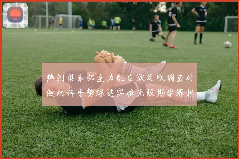 热刺俱乐部全力配合欧足联调查对做纳粹手势球迷实施无限期禁赛措施