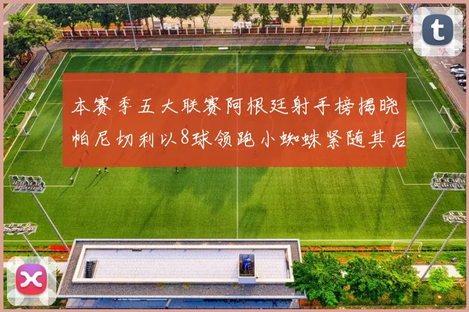 本赛季五大联赛阿根廷射手榜揭晓帕尼切利以8球领跑小蜘蛛紧随其后