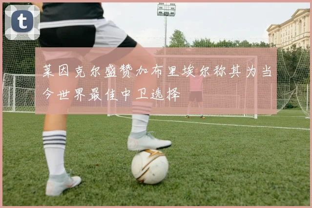 莱因克尔盛赞加布里埃尔称其为当今世界最佳中卫选择