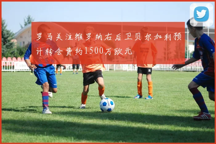罗马关注维罗纳右后卫贝尔加利预计转会费约1500万欧元